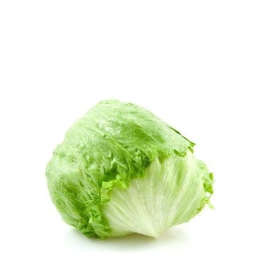 Iceberg Lettuce