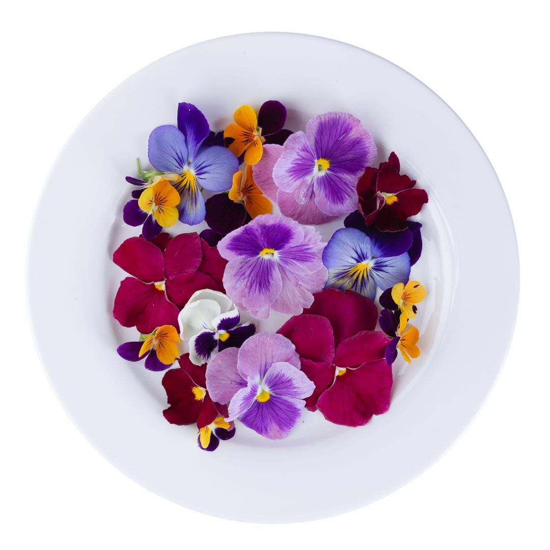 Edible Flowers